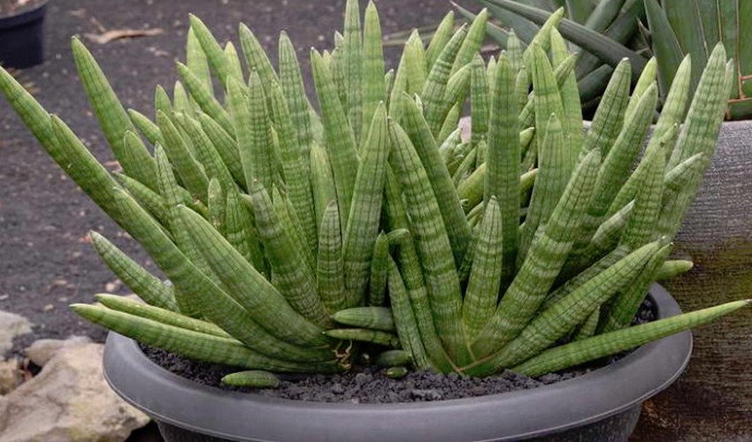 Циліндрична