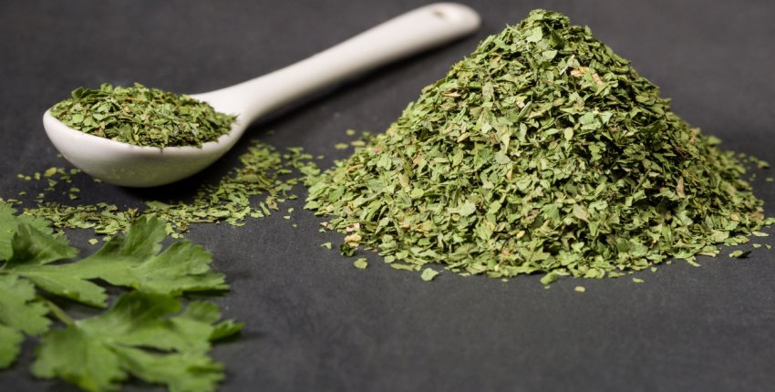 Сушена кінза Сушена кінза