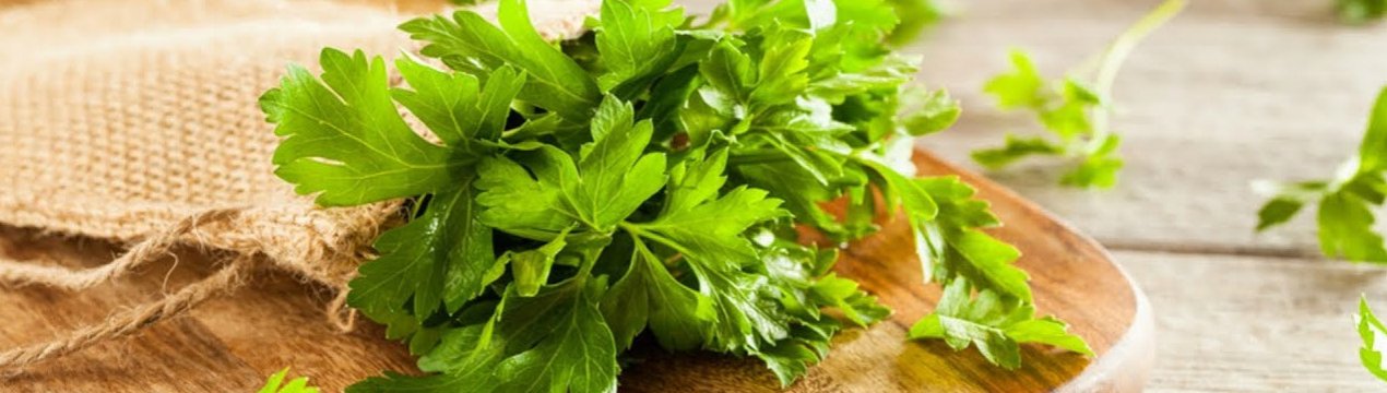 Як правильно приймати настоянку з петрушки?