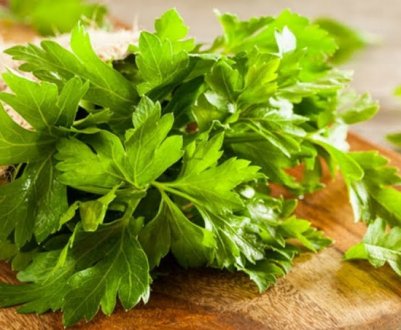 Як правильно приймати настоянку з петрушки?