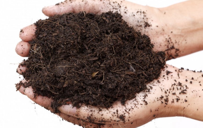 Грунт для посадки