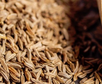 Кмин — що це за рослина?