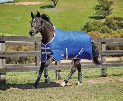 Як зробити попону для коня своїми руками?