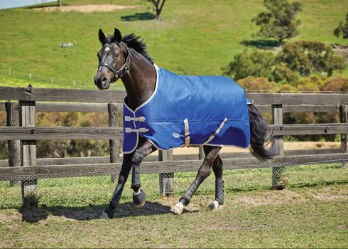 Як зробити попону для коня своїми руками?