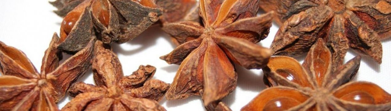 Як виглядає зірчастий аніс