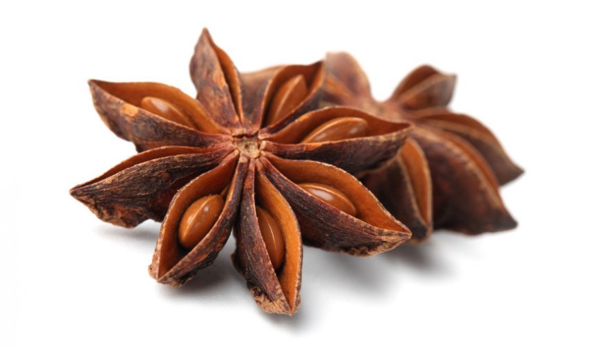 Аніс зірчастий Аніс зірчастий