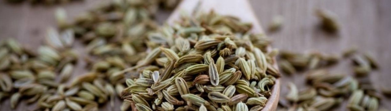 Особливості лікувальних властивостей анісу