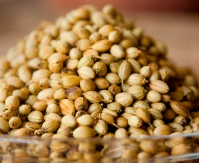 Як виглядає приправа коріандр?