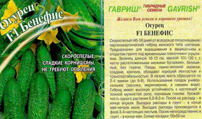 Бенефіс F1 Бенефіс F1