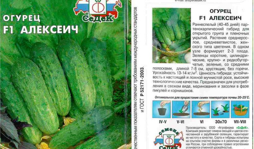 Олексійович F1 Олексійович F1