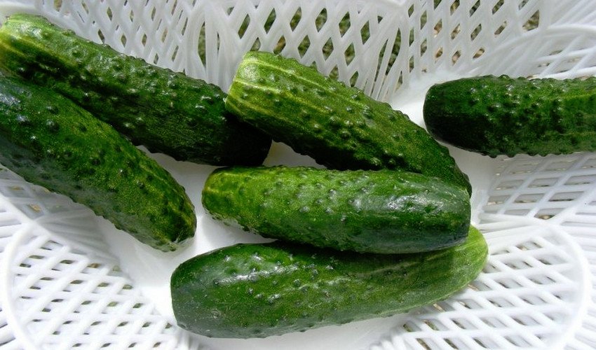 Омелько F1 Омелько F1