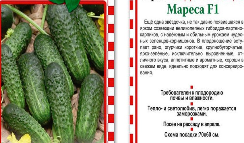 Мареса Мареса