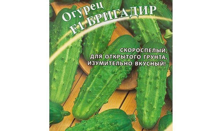 Бригадир F1 Бригадир F1