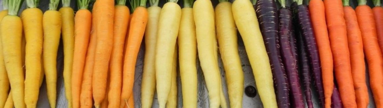 Особливості вживання моркви при цукровому діабеті