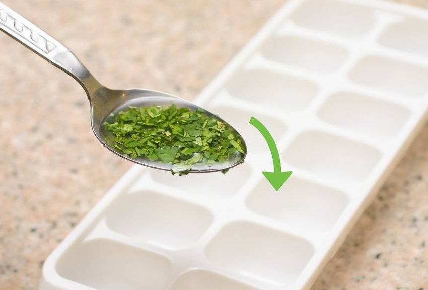 Зберігання кінзи Зберігання кінзи