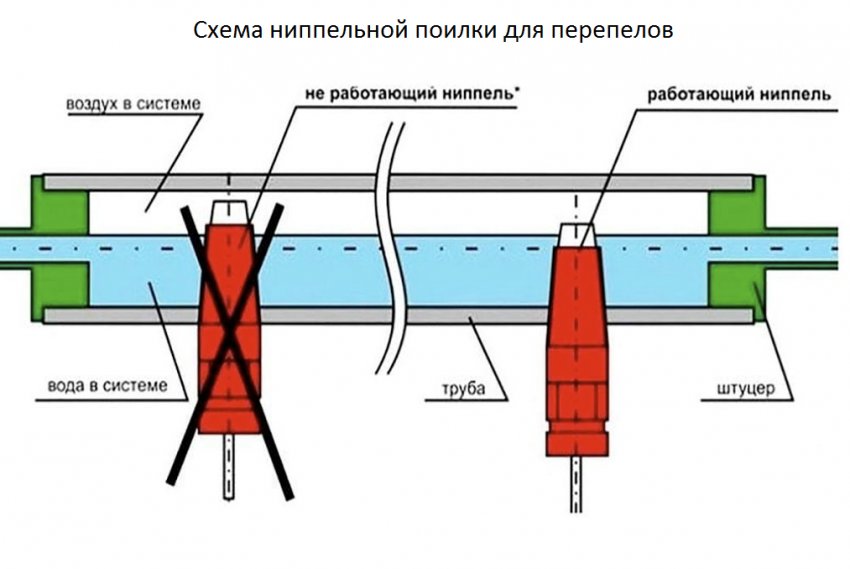 Виготовлення поїлки своїми руками