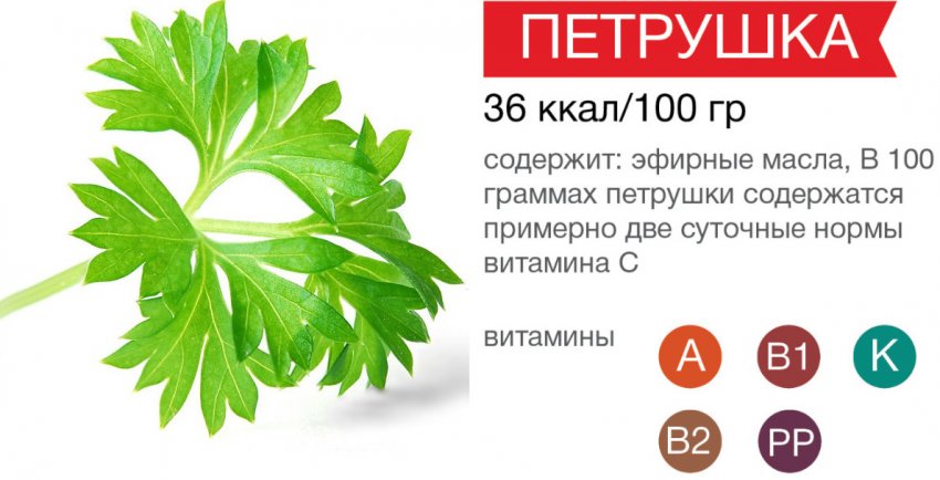 Вітамінно-мінеральний склад петрушки