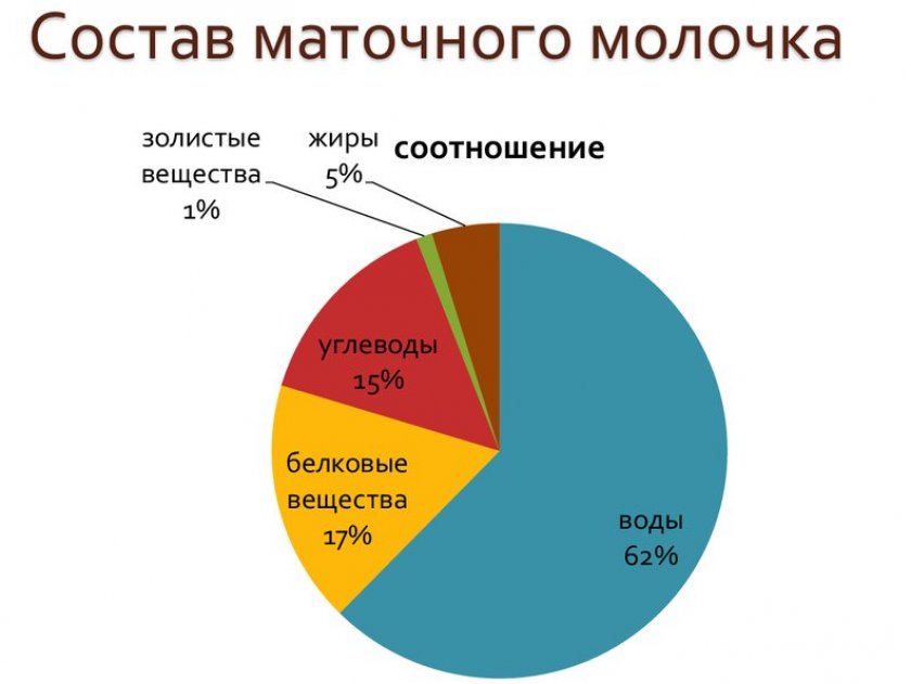 Состав маточного молочка Состав маточного молочка