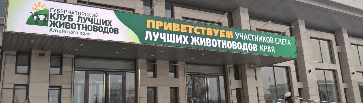 Лідерів алтайського тваринництва нагородять грошима та путівками в санаторій