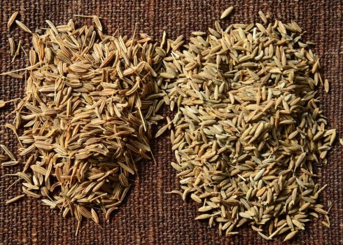 Тмин и зира — одно и то же?