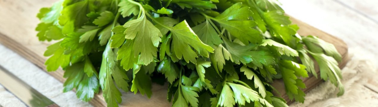 Варіанти приготування і використання петрушки для обличчя