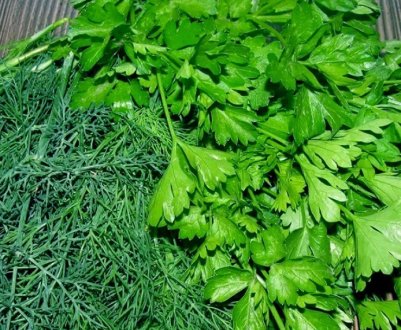 Користь кропу і петрушки для організму людини