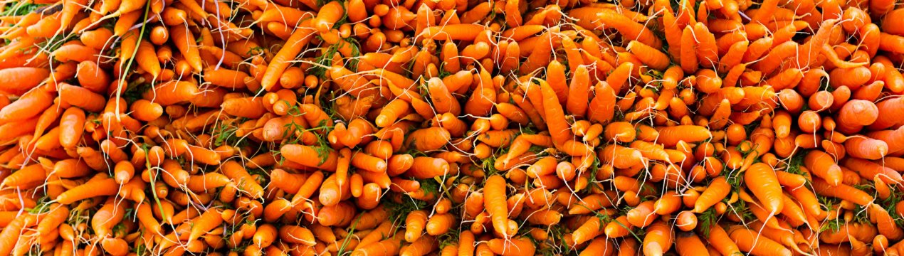 Російська моркву — на межі зникнення?