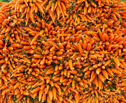 Російська моркву — на межі зникнення?