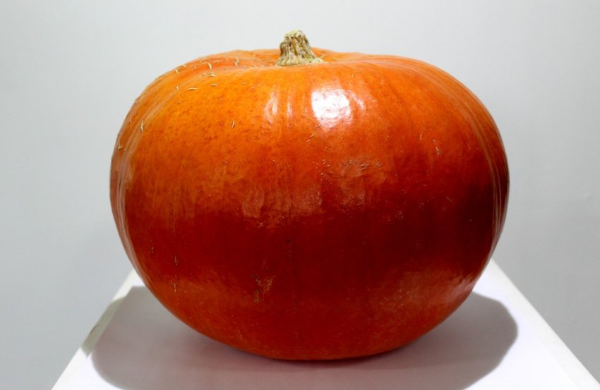 Центнер Центнер