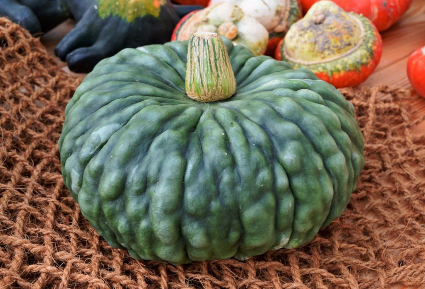 Мармурова Мармурова