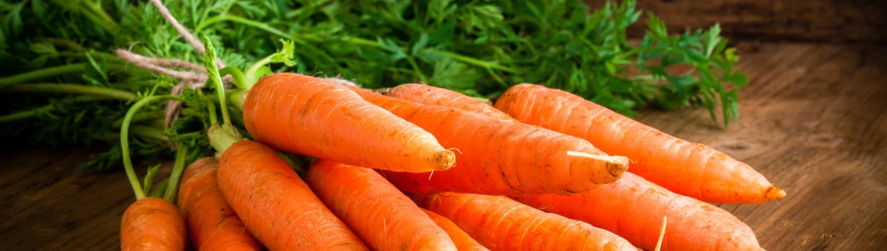 История возникновения и характеристика моркови