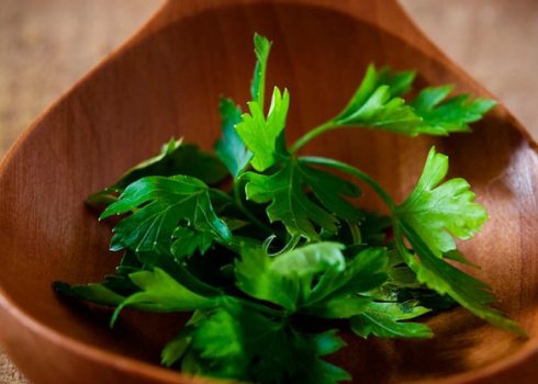 Можна їсти петрушку при грудному вигодовуванні?