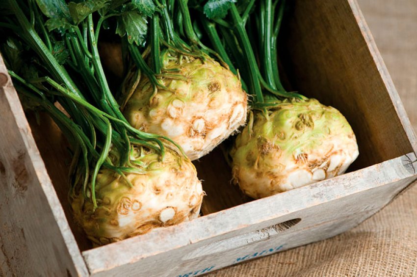 Зберігання в погребі, на балконі, в підвалі Зберігання в погребі, на балконі, в підвалі