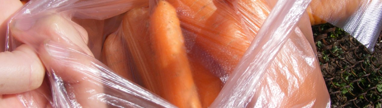 Особливості зберігання моркви у пакетах на зиму