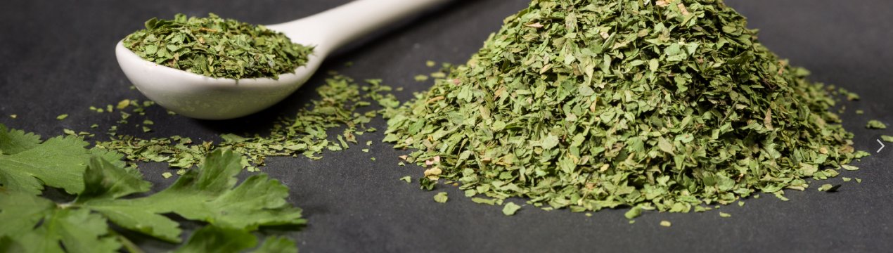 Сушка і вживання сушеної кінзи