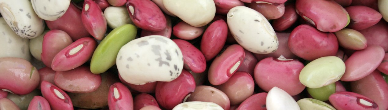 Норвезькі фермери готові вирощувати на Місяці квасоля для голодних астронавтів