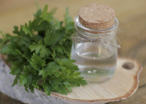 Особливості відвару петрушки для місячних при затримці