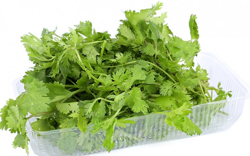 Кінза Король ринку