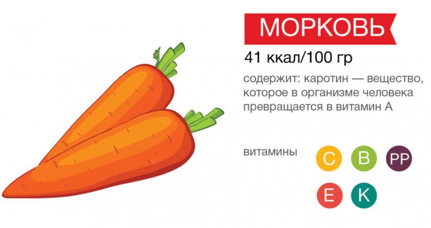Складу моркви Складу моркви