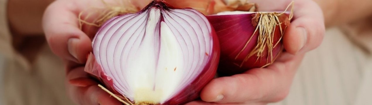 З якого віку можна і як правильно давати цибулю дитині?