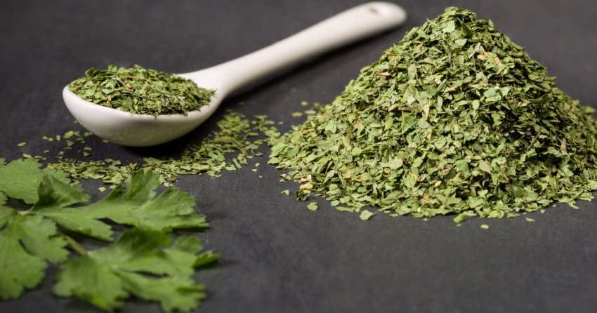 Сушена кінза Сушена кінза