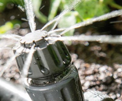 Як зробити автополив у теплиці своїми руками?