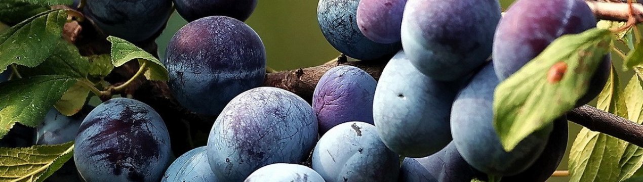 Особливості злив Угорка