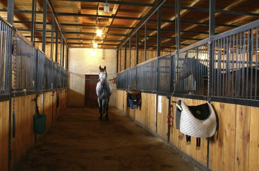 Денник для коней Денник для коней