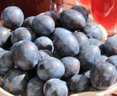 Опис і характеристика сорти сливи Тульська чорна