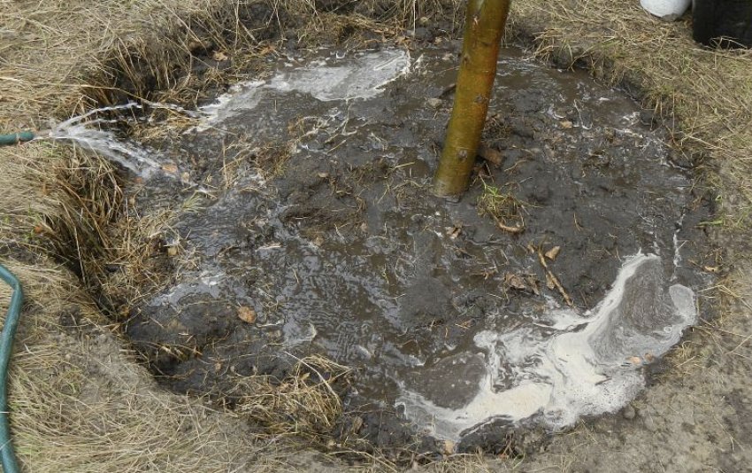 Внесення добрив Внесення добрив
