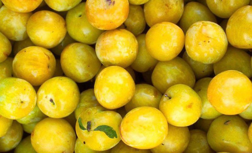 Зливу Компотна Зливу Компотна