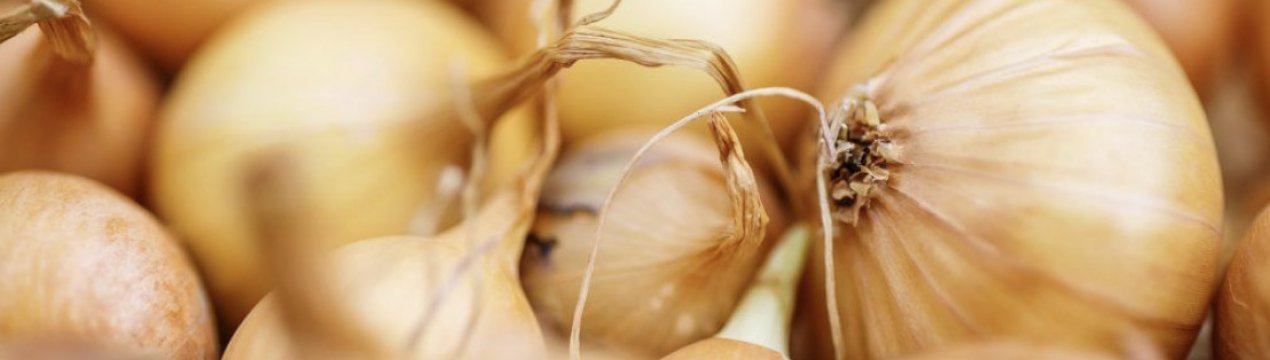 Что обуславливает использование луковых овощей как лекарственных средств. Смотреть фото Что обуславливает использование луковых овощей как лекарственных средств. Смотреть картинку Что обуславливает использование луковых овощей как лекарственных средств. Картинка про Что обуславливает использование луковых овощей как лекарственных средств. Фото Что обуславливает использование луковых овощей как лекарственных средств