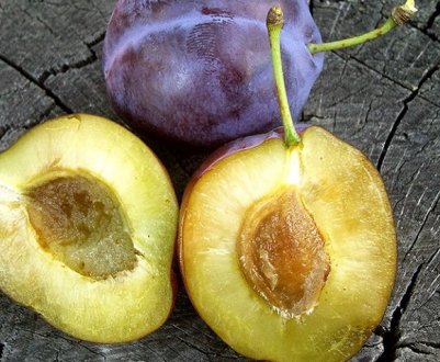 Особливості вирощування та догляду за сливою Віжен