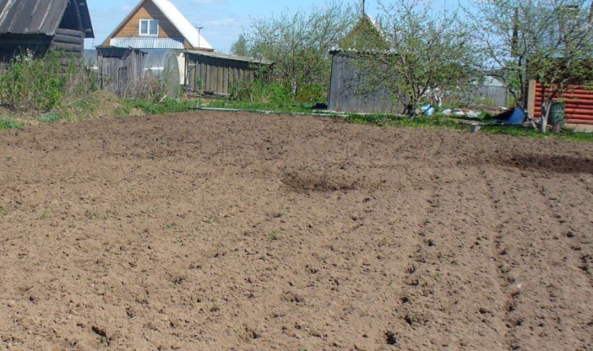 Ділянку для посадки Ділянку для посадки